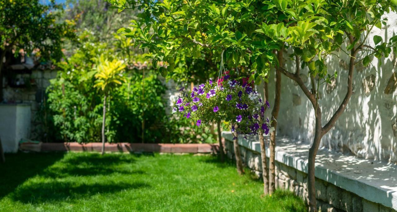 Flores Hotel Αλακάτι Εξωτερικό φωτογραφία